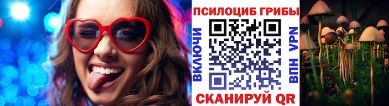 MEGA зеркало  Зеленоградск  Галлюциногенные грибы MAGIC MUSHROOMS 